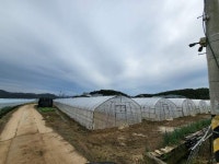 경매마당 공매정보 2022-02763-001의 시세, 권리분석, 상세정보