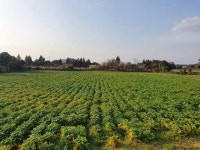 경매마당 공매정보 2021-03793-002의 시세, 권리분석, 상세정보