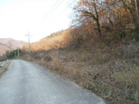 경매마당 공매정보 2021-03970-001의 시세, 권리분석, 상세정보