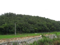경매마당 공매정보 2022-01363-001의 시세, 권리분석, 상세정보
