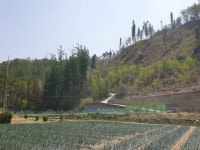 경매마당 공매정보 '2022-00513-001'의 시세, 권리분석, 상세정보