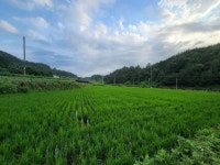 경매마당 공매정보 2021-06490-003의 시세, 권리분석, 상세정보