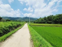 경매마당 공매정보 2021-14884-007의 시세, 권리분석, 상세정보