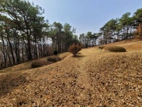경매마당 공매정보 2022-00218-001의 시세, 권리분석, 상세정보
