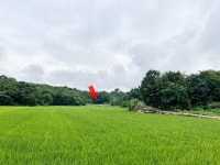 경매마당 공매정보 2021-05128-003의 시세, 권리분석, 상세정보