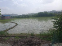 경매마당 공매정보 2023-04184-001의 시세, 권리분석, 상세정보