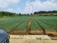 경매마당 공매정보 2021-09975-001의 시세, 권리분석, 상세정보