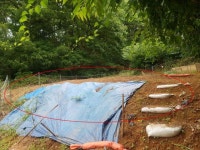 경매마당 공매정보 2023-0400-015316의 시세, 권리분석, 상세정보