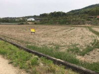 경매마당 공매정보 2022-04874-001의 시세, 권리분석, 상세정보