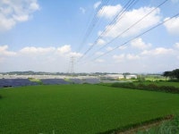 경매마당 공매정보 2022-07628-007의 시세, 권리분석, 상세정보