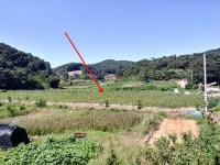 경매마당 공매정보 '2022-07995-002'의 시세, 권리분석, 상세정보