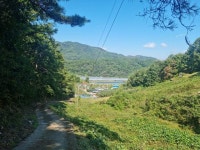 경매마당 공매정보 2022-08755-002의 시세, 권리분석, 상세정보