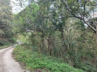 경매마당 공매정보 2022-05033-001의 시세, 권리분석, 상세정보