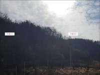 경매마당 공매정보 '2019-10883-001'의 시세, 권리분석, 상세정보