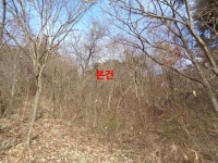경매마당 공매정보 2022-10233-001의 시세, 권리분석, 상세정보