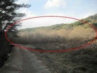 경매마당 공매정보 2022-08143-001의 시세, 권리분석, 상세정보