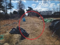 경매마당 공매정보 2022-11117-001의 시세, 권리분석, 상세정보