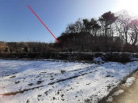 경매마당 공매정보 2023-06793-002의 시세, 권리분석, 상세정보