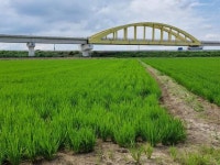 경매마당 공매정보 2023-0100-003591의 시세, 권리분석, 상세정보