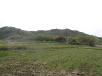 경매마당 공매정보 2023-01083-001의 시세, 권리분석, 상세정보