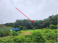 경매마당 공매정보 2023-0500-024342의 시세, 권리분석, 상세정보