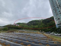 경매마당 공매정보 2023-01646-007의 시세, 권리분석, 상세정보