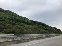 경매마당 공매정보 2023-03243-003의 시세, 권리분석, 상세정보