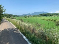 경매마당 공매정보 2023-06172-004의 시세, 권리분석, 상세정보