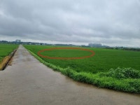 경매마당 공매정보 2023-06417-003의 시세, 권리분석, 상세정보