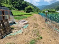 경매마당 공매정보 2023-06711-004의 시세, 권리분석, 상세정보