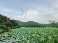 2022-0202-0577 | 경매마당 공매정보 '2023-01775-004'의 시세, 권리분석, 상세정보