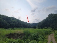 경매마당 공매정보 '2022-05826-001'의 시세, 권리분석, 상세정보