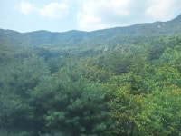 경매마당 공매정보 2023-11881-001의 시세, 권리분석, 상세정보