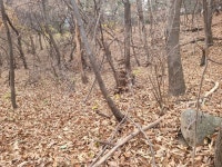 경매마당 경매정보 2021타경10886의 시세, 권리분석, 상세정보