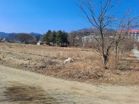 경매마당 경매정보 2022타경572의 시세, 권리분석, 상세정보