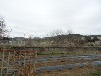 경매마당 경매정보 2022타경1797의 시세, 권리분석, 상세정보