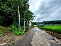 경매마당 경매정보 2022타경3595의 시세, 권리분석, 상세정보