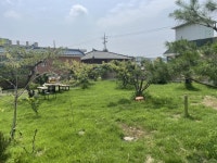 경매마당 경매정보 2022타경67080의 시세, 권리분석, 상세정보