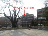 경매마당 경매정보 2021타경19660의 시세, 권리분석, 상세정보