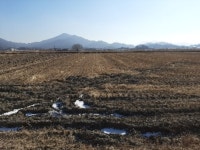 경매마당 경매정보 2022타경500118의 시세, 권리분석, 상세정보