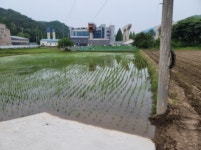 경매마당 경매정보 2022타경32588의 시세, 권리분석, 상세정보