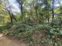 경매마당 경매정보 2022타경64074의 시세, 권리분석, 상세정보