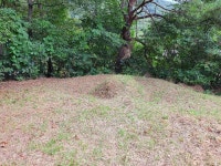 경매마당 경매정보 2021타경57242의 시세, 권리분석, 상세정보