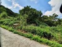 경매마당 경매정보 2021타경57242의 시세, 권리분석, 상세정보