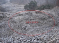 경매마당 경매정보 2020타경44의 시세, 권리분석, 상세정보