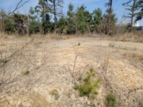 경매마당 경매정보 2021타경1075의 시세, 권리분석, 상세정보