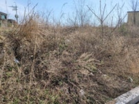 경매마당 경매정보 2021타경1075의 시세, 권리분석, 상세정보