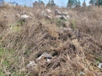 경매마당 경매정보 2021타경1075의 시세, 권리분석, 상세정보