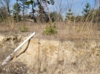 경매마당 경매정보 2021타경1075의 시세, 권리분석, 상세정보