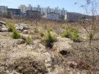 경매마당 경매정보 2021타경1075의 시세, 권리분석, 상세정보